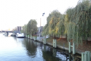 Spreeufer_2012_2015-017