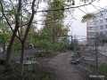 141028_luisenstadtspreewegfuehrung-071