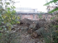 141028_luisenstadtspreewegfuehrung-073
