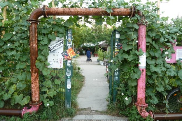 Prinzessinnengarten zieht nach Neukölln – Wiedergeburt auf ehemaligem Friedhof