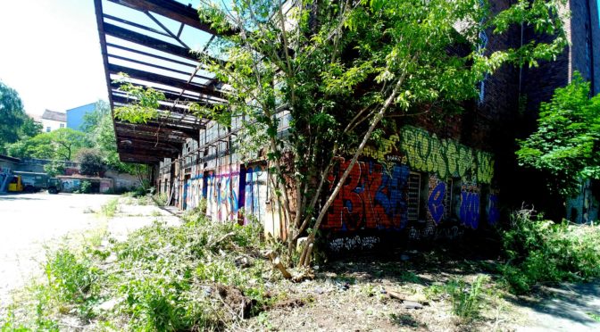 Abholz-Drama – wird das Bauprojekt ehemaliges Postfuhramt „die neue Eisfabrik“?