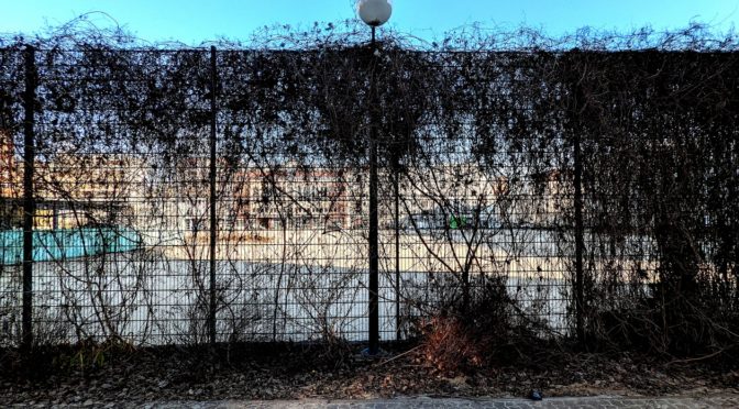 Luisenstadt: Straßen mit Erneuerungsbedarf