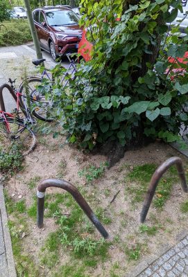 So nicht! Baumscheibe - gesehen in Mitte-Tiergarten