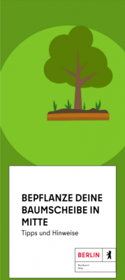 Der amtliche Baumscheiben Flyer mit Do's & Dont's