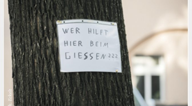 Bürgerverein fordert Sanierung der Notwasserbrunnen