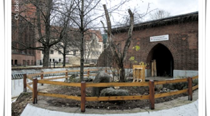 Bärenzwinger war Straßenreinigungs-Depot, Bedürfnisanstalt, Braunbärgefängnis