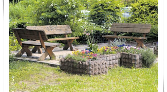 Kleine Großstadtoasen – Begrünte Innenhöfe sind so wichtig