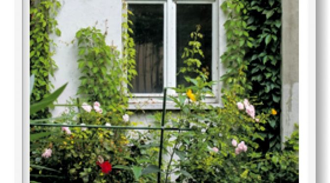 Luise grün! Ab 1.000 Euro greift das Förderprogramm