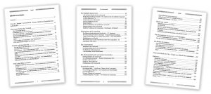 Luisenstadt Buch Inhaltsübersicht