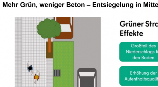 Berlin Mitte: Erste »Grüne Gullys« in Betrieb