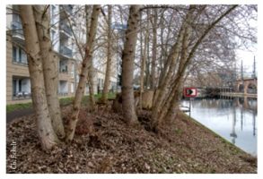 Uferweg Buschlandschaft (Foto: Ch. Eckelt)