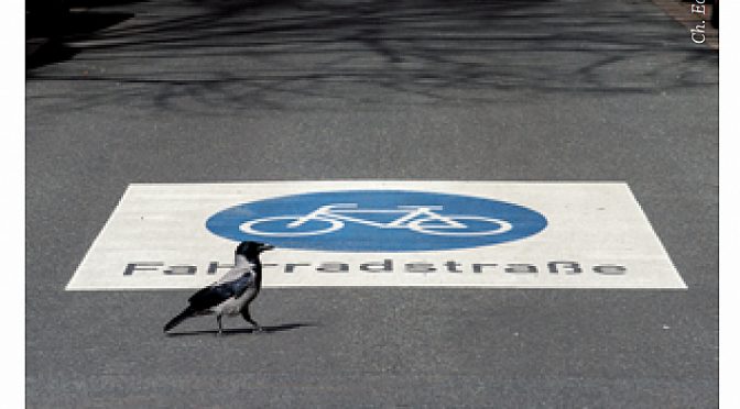 Melchiorstraße wird Fahrradstraße