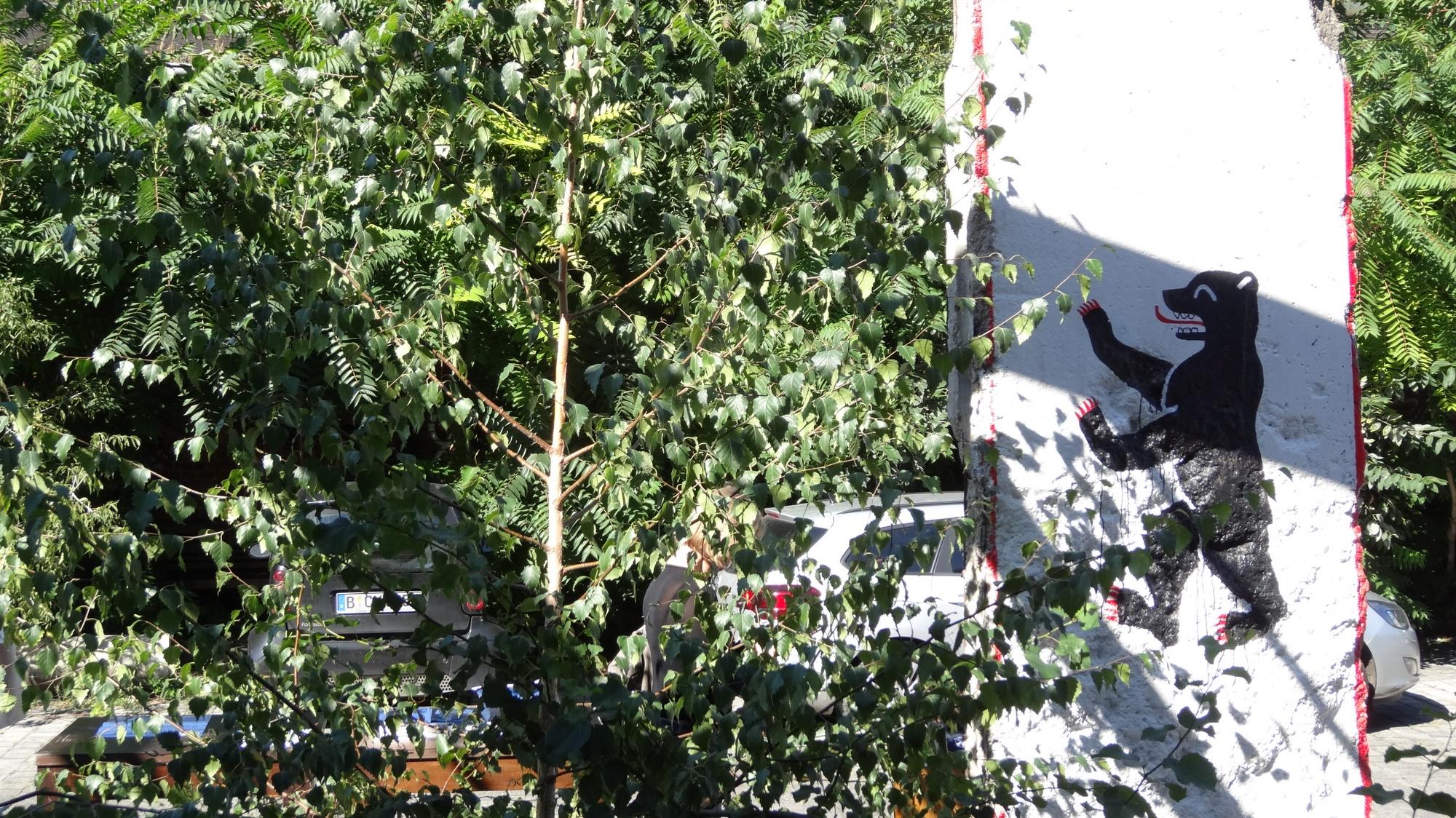 Der Berliner Bär sieht nicht erfreut aus